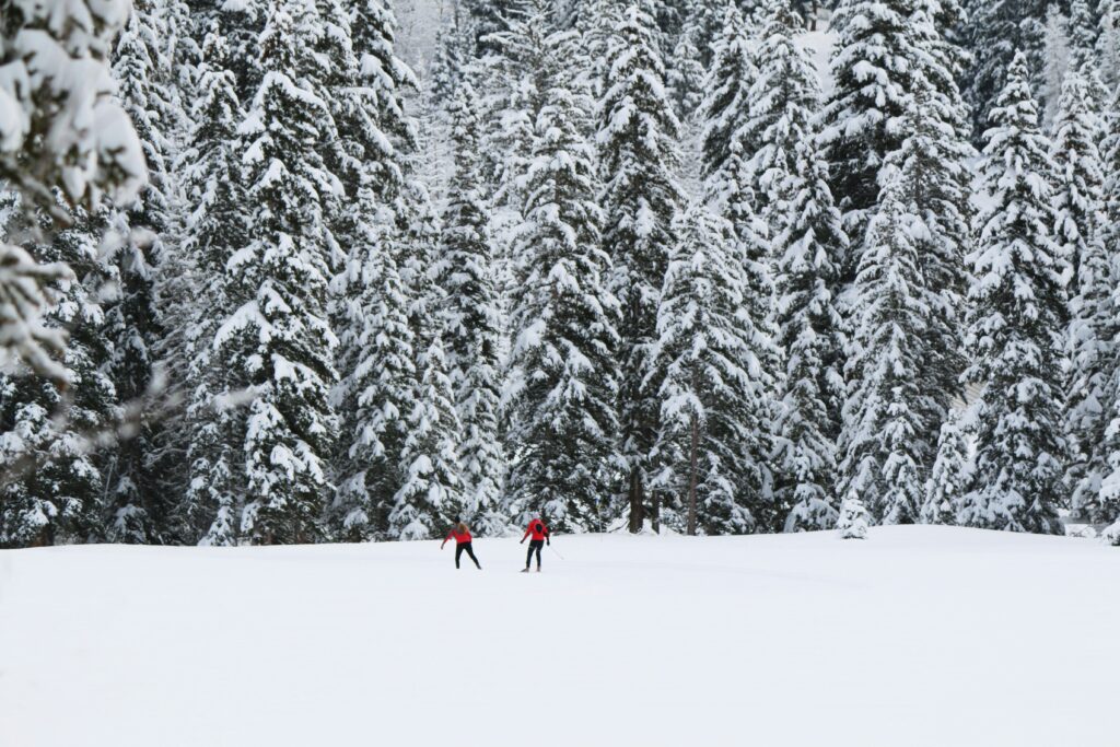 Cross Country Skiing
